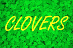 green clovers shamrocks st patricks day