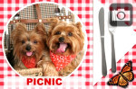 have a picnic with your photo