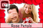 rose petals flowers romantic love valentines day