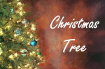 christmas tree holidays