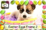 easter eggs frame photo painted