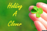 hand holding a clover shamrocks st patricks day